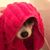 Kylea Raines's profile image