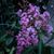 Charles D. Kress's profile image