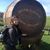 Kris Wilcox's profile image