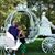 MaryAnn Mollo's profile image
