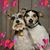 Judy Dore's profile image