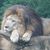 Ritch Yount's profile image