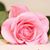 Johana Montes de Oca's profile image