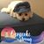 Sandy Kreager's profile image