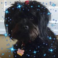 Debi Renshaw Kaplan's profile image