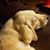 Pamela Harrington's profile image