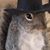 Fadi Rihani's profile image