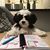 Cindy Channell's profile image