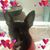 Lorraine StThomas's profile image