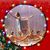 Fred Alyson Pelletier Seegmueller's profile image