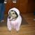 Lisa Wisong's profile image