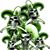 Gree Njester's profile image
