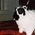 Maryalice Perrin-Mohr's profile image