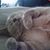 Catherine Yezak's profile image