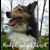 Yvonne Culver Hodil's profile image