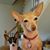 Susan Stull's profile image