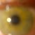 John Patyn's profile image