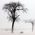 Jeanne Brokstad Jones's profile image
