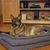 Jeri Wolfe Wagner's profile image