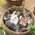 LaNita Jardine's profile image