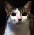 Grace Muphy's profile image