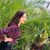 Johana Landa's profile image