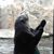 Lissette Pacheco's profile image
