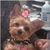 Bruce Denson's profile image