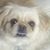 Amy Perry Dennis's profile image