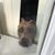 Carol A Demastus's profile image