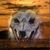Maxwell Murphy's profile image
