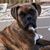 Rocky Kunec's profile image