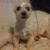 Jacqueline Gonzales's profile image