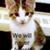 Katherine Zavartkay's profile image