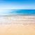 Lynn Gause Atkins's profile image