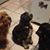 Barb Burcham's profile image