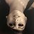 Chiane Sarah's profile image
