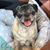 Annette Lynne's profile image