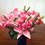 Marelene Marple's profile image