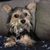 Sharon Roberts's profile image