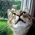 Barbara Chapman-Asmus's profile image