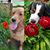 Mary Spagnola Knablein's profile image