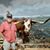 Don L Brown's profile image