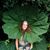 Tracy Love Tippin's profile image