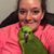 Michelle Speegle's profile image