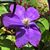 Cindy Mulkey Houston's profile image