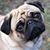 Patty Coulter's profile image
