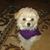 Debbie Armour's profile image