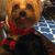 Linda Barrington's profile image