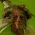Rachel Guyton's profile image